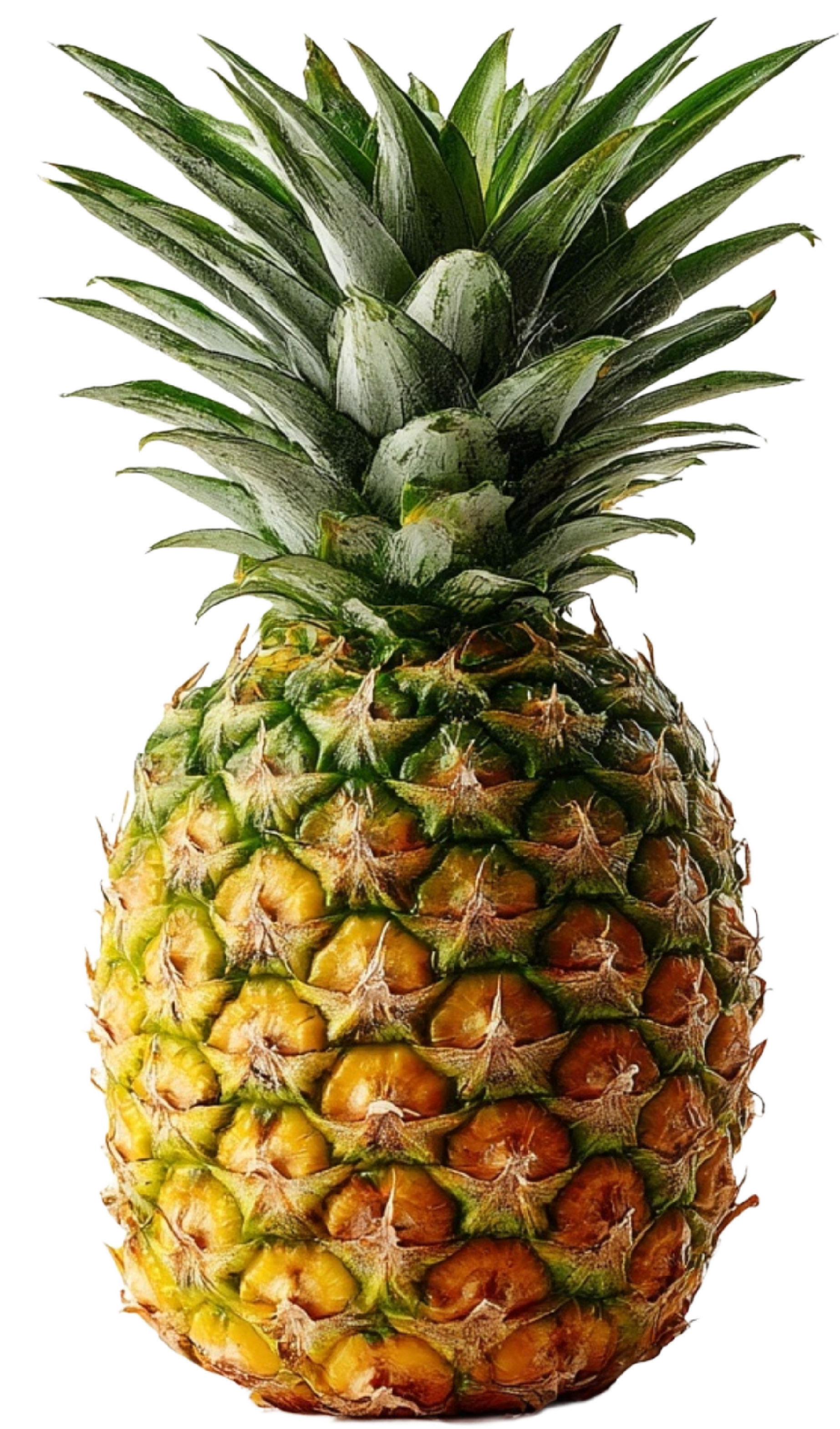Ananas symbole libertin